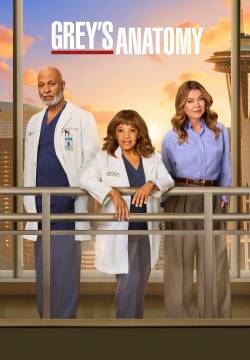 Grey's Anatomy - Stagione 22