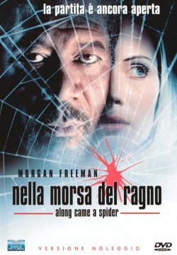 Nella morsa del ragno