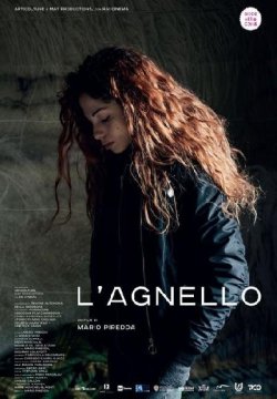 L'agnello