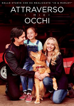 Attraverso i miei occhi