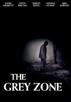 La zona grigia