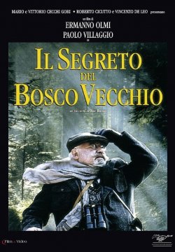 Il segreto del bosco vecchio