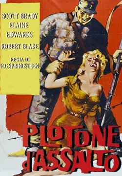 Plotone d'assalto